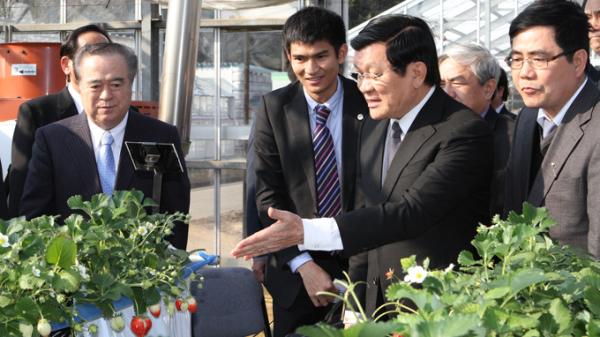 Chủ tịch nước thăm Nhật Bản - thúc đẩy hợp tác nông nghiệp