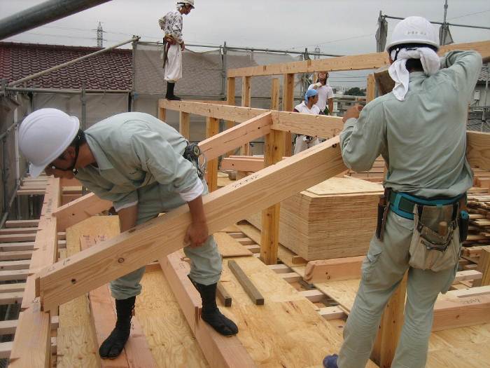 thực tập sinh ngành xây dựng