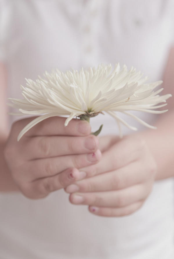 White-Chrysanthemum-1151.jpg