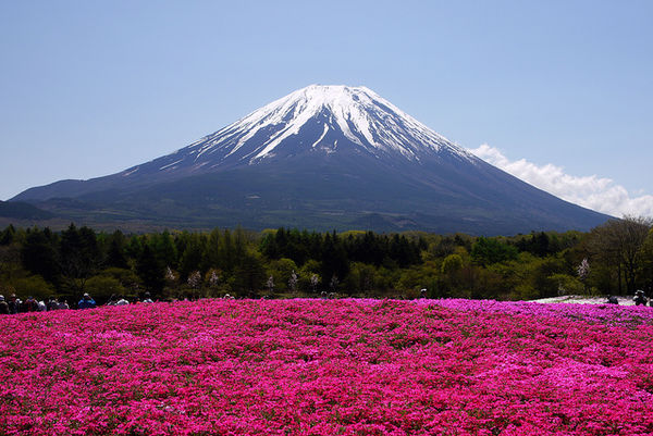 images/stores/2014/11/08/best-places-to-photograph-mount-fuji-1030.jpg
