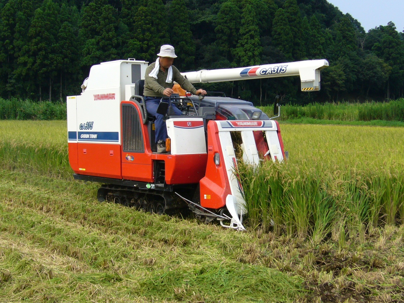nền nông nghiệp Nhật Bản