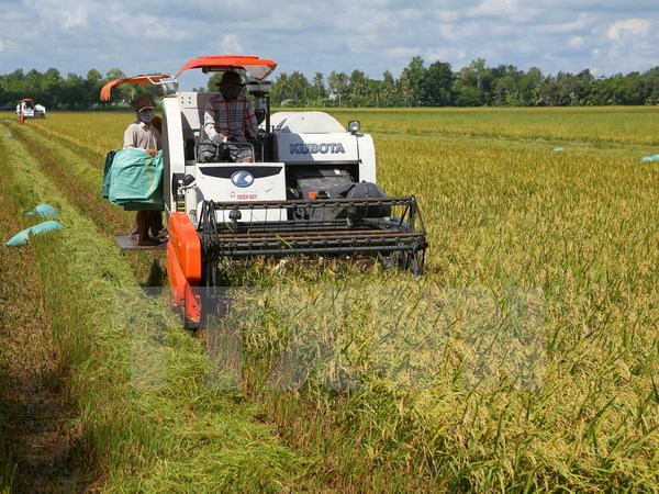 Nhật Bản đầu tư vào nông nghiệp tỉnh Hà Nam