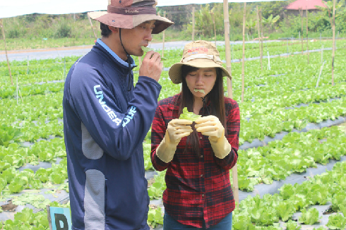 khi người Việt Nam đến Nhật Bản học làm nông dân