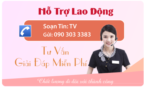 Từng đi xklđ Nhật có thể quay lại làm việc theo đường nào