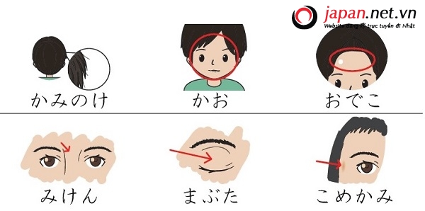 Phương pháp học thuộc nhớ lâu 1000 từ vựng giao tiếp tiếng Nhật trong 1 tháng