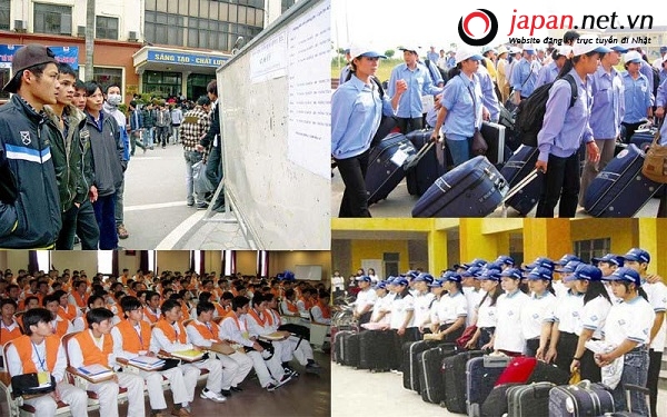 TP HCM: Khuyến khích, hỗ trợ người dân đi xuất khẩu lao động Nhật Bản