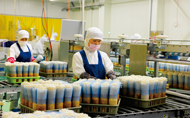 Tuyển 15 người đi xuất khẩu lao động Nhật Bản tại Nghệ An làm trồng nấm
