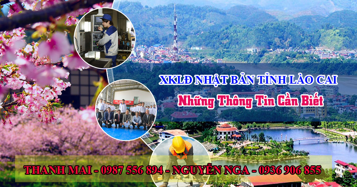 Xuất khẩu lao động Nhật Bản tỉnh Lào Cai: nên hay không?