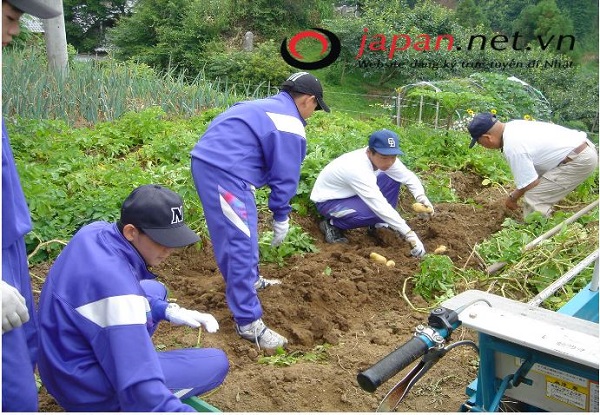Hokkaido - nơi tập trung các đơn hàng nông nghiệp XKLĐ Nhật Bản
