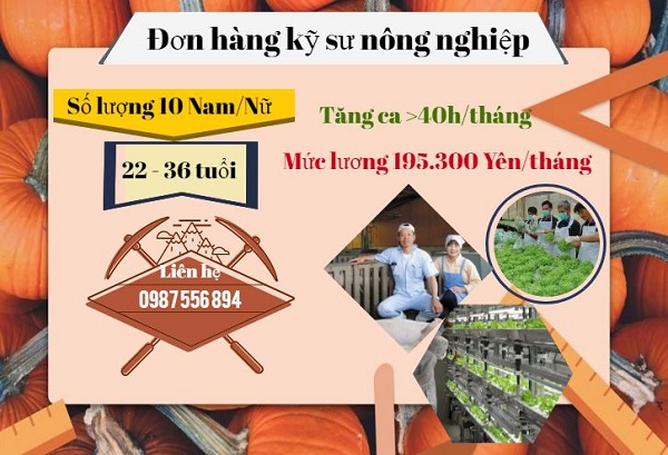 Top 5 đơn hàng kỹ sư Hot nhất trong đầu năm 2018