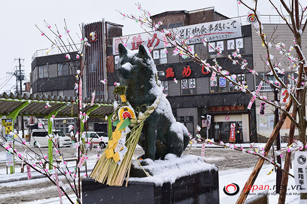 Độ nổi tiếng của chú chó Hachiko- chú chó trung thành nhất Nhật Bản