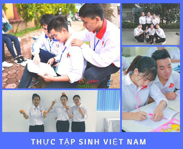 THÔNG TIN MỚI- Hội chợ việc làm cho thực tập sinh Việt Nam về nước sắp được tổ chức
