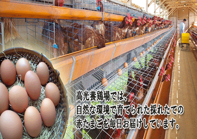 110 Nữ làm trang trại chăn nuôi tại KAGOSHIMA 3/2014