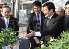 Chủ tịch nước thăm Nhật Bản: Thúc đẩy hợp tác nông nghiệp