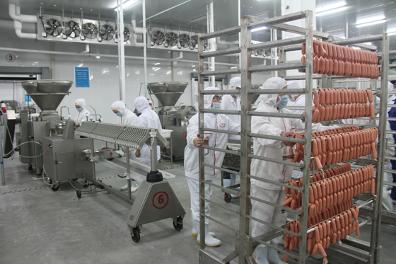 9 Nam xuất khẩu lao động làm thực phẩm tại Gunma tháng 2/2015