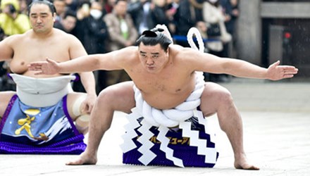Cuộc 'hành xác' cực khổ của những võ sĩ Sumo Nhật Bản