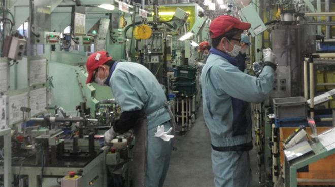 Học kinh tế có nên đi xuất khẩu lao động Nhật Bản?