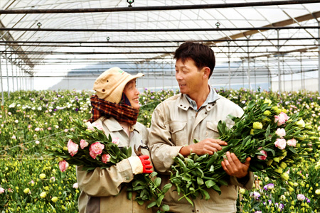 Tuyển 12 thực tập sinh nữ làm nông nghiệp tại Nhật Bản tháng10/2015
