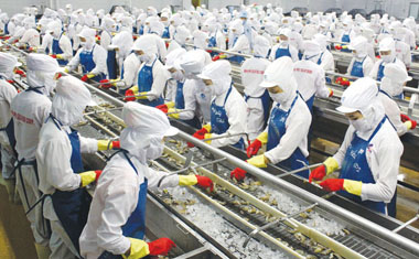 Tuyển 12 nữ làm chế biến thủy sản tại Yamaguchi tháng 2/2023