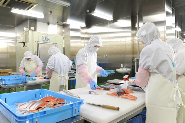 Công việc của lao động làm chế biến thủy sản tại Nhật Bản