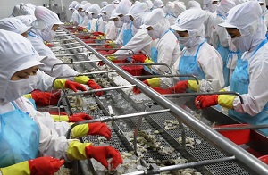 Gia tăng số lượng lao động Hà Nam đi xuất khẩu lao động Nhật Bản