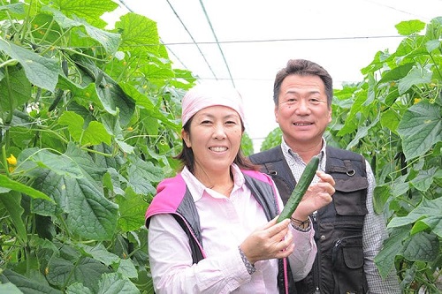 Tuyển nữ xuất khẩu lao động làm trồng rau tại Kumamoto tháng 11/2023