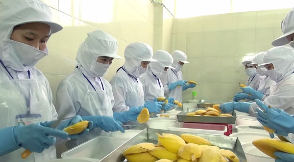 Đơn hàng Nam/ Nữ: 18 lao động đi xuất khẩu lao động Nhật Bản làm chế biến thực phẩm