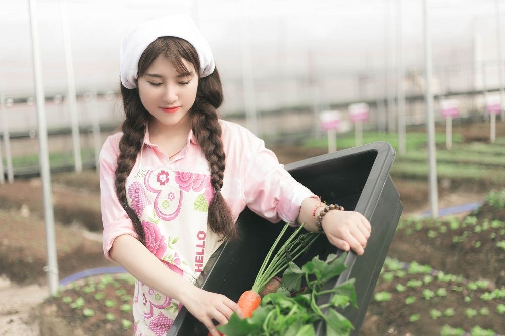 5 lý do đơn hàng nông nghiệp Aichi thu hút người lao động