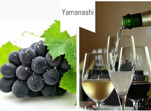 Yamanashi - Thiên đường của ngành thực phẩm