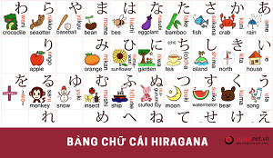 Chia sẻ 5 cách giúp thực tập sinh Việt học thuộc nhanh bảng chữ cái tiếng nhật Hiragana
