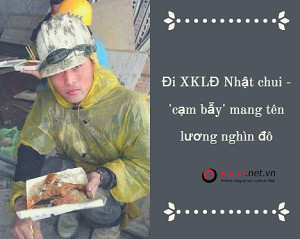 Đi XKLĐ Nhật chui - 'cạm bẫy' mang tên lương nghìn đô