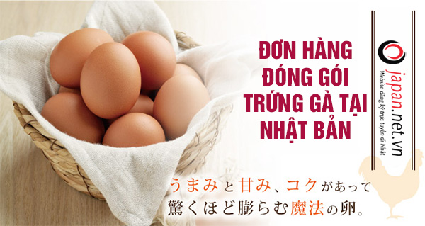 Tuyển gấp 12 nữ đơn hàng đóng gói trứng tại Chiba Nhật Bản chi phí thấp