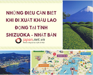 Shizuoka Nhật Bản- Điểm đến hấp dẫn xứ anh đào