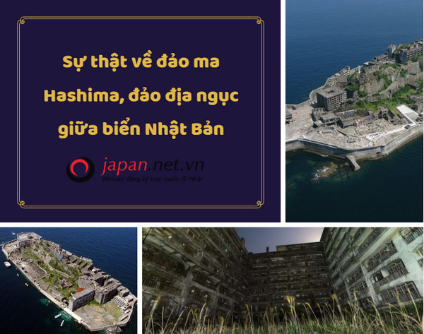 Sự thật về đảo ma Hashima, đảo địa ngục giữa biển Nhật Bản