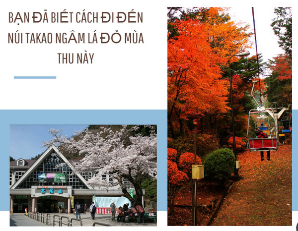 Bạn đã biết cách đi đến núi takao ngắm lá đỏ mùa thu này