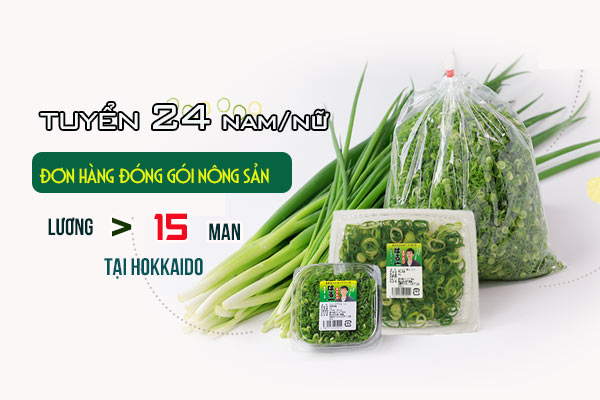 TỶ LỆ ĐỖ >99% khi tham gia đơn hàng 1 năm đóng gói nông sản tại Hokkaido, PHÍ CỰC THẤP