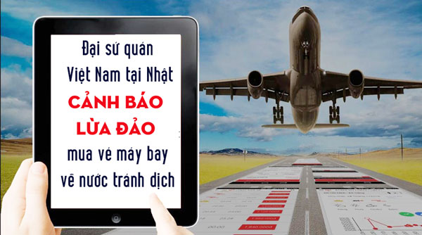 ĐSQ Việt Nam tại Nhật CẢNH BÁO LỪA ĐẢO mua vé máy bay về nước tránh dịch