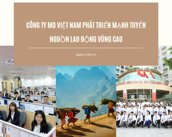 Công ty MD Việt Nam phát triển mạnh tuyển nguồn lao động vùng cao