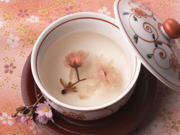 trà hoa anh đào japan.net.vn