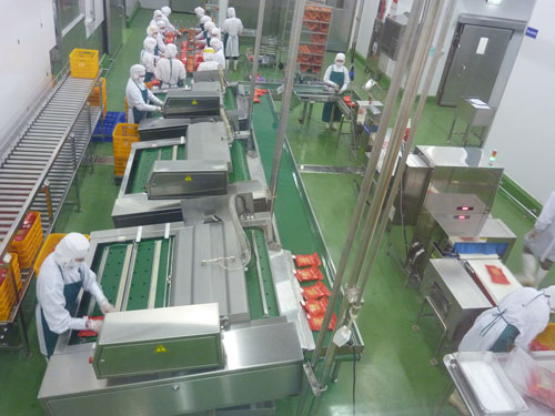 Xuất khẩu lao động làm tại nhà máy xúc xích Nhật Bản