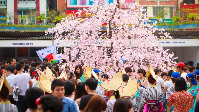 lễ hội hoa anh đào Nhật Bản
