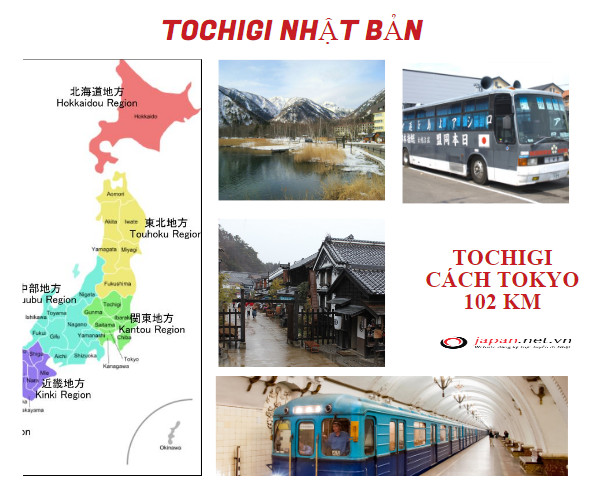 Tochigi Nhật Bản- vương quốc dâu tây xứ anh đào