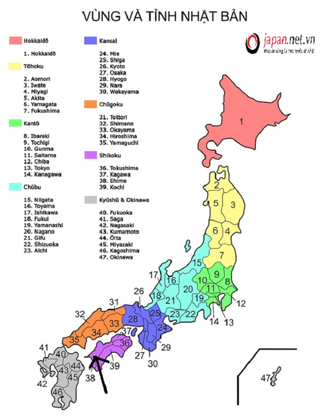 Ehime Nhật Bản: Khám Phá Điểm Đến Lý Tưởng Tại Shikoku