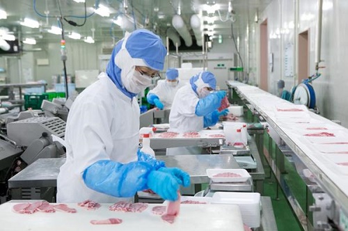 Hot! Đơn hàng xuất khẩu lao động làm chế biến thịt tại Tokyo Nhật Bản