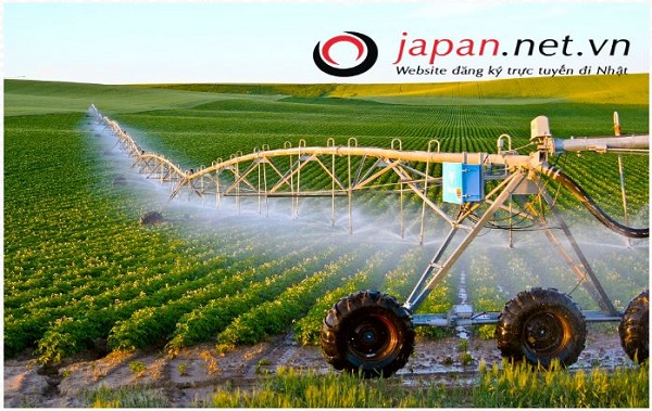 Hokkaido - nơi tập trung các đơn hàng nông nghiệp XKLĐ Nhật Bản