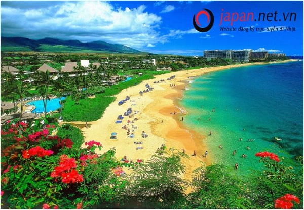 Đơn hàng XKLĐ tại Kumamoto, Nhật Bản