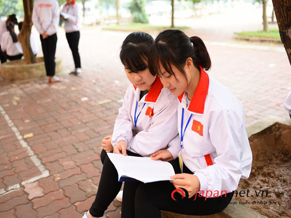 Senpai là gì? Phân biệt Senpai, Kohai và Sensei khi đi XKLĐ Nhật