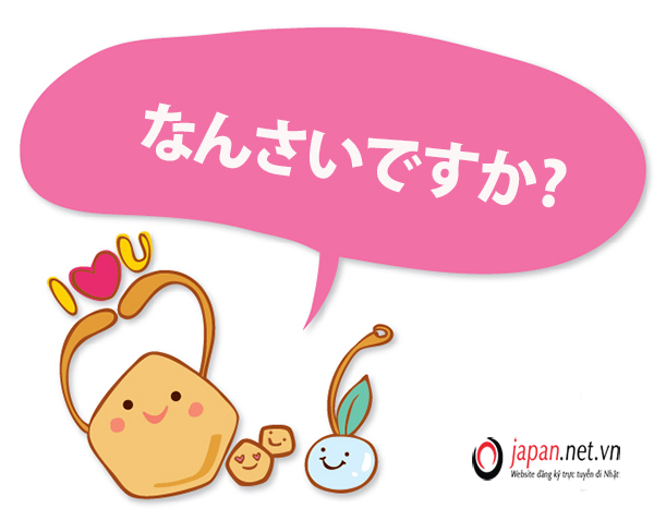 Bật mí 10 cách nói về tuổi trong tiếng Nhật bạn nên học