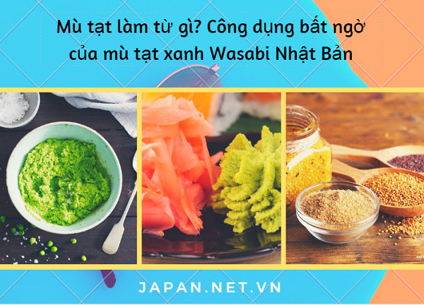 Mù tạt làm từ gì? Công dụng bất ngờ của mù tạt xanh Wasabi Nhật Bản