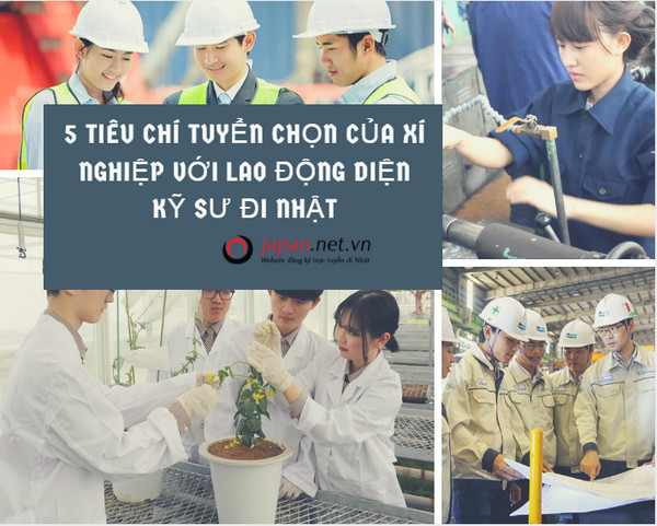 5 tiêu chí tuyển chọn của xí nghiệp với lao động diện kỹ sư đi Nhật